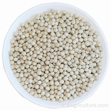 Flavour des grains de poivre blanc en vrac pour la cuisson